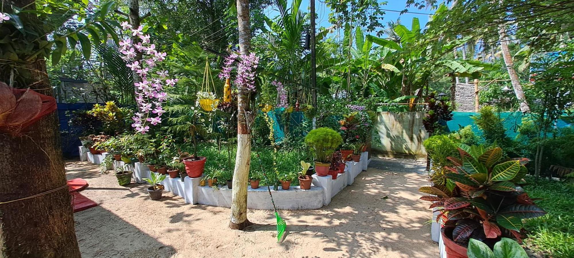 Marari Nadiya Otel Mararikulam Oda fotoğraf